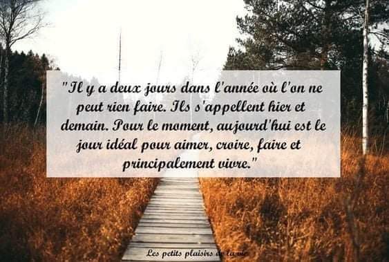 BiBi 🎗 ✡ tweet media