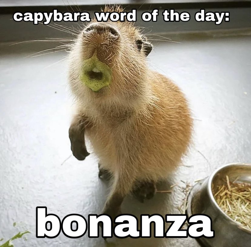 capywrdoftheday's tweet photo. day 63: bonanza! // #capybarawordoftheday #Capybara #bonanza https://t.co/PT1Si7u097