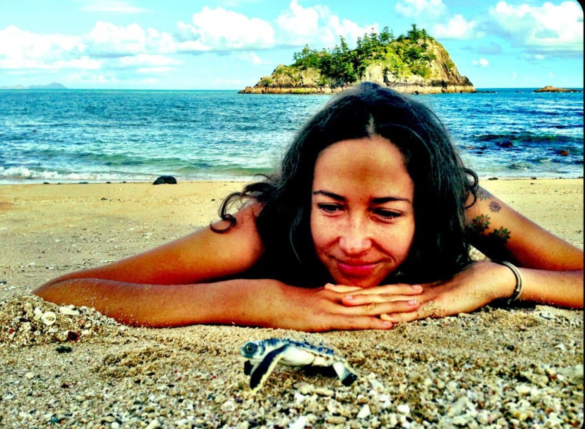 EchosOfLyra's tweet photo. I grew up on the Great Barrier Reef in Oz. Turtles are one of the most magical creatures ive ever encountered. Lets help them survive and thrive. Buy a @SlowTurtlesNFT and you are doing a great service (and also making a wise investment) #nftart #nftcommunity #slowturtles https://t.co/GC88oWJmK0