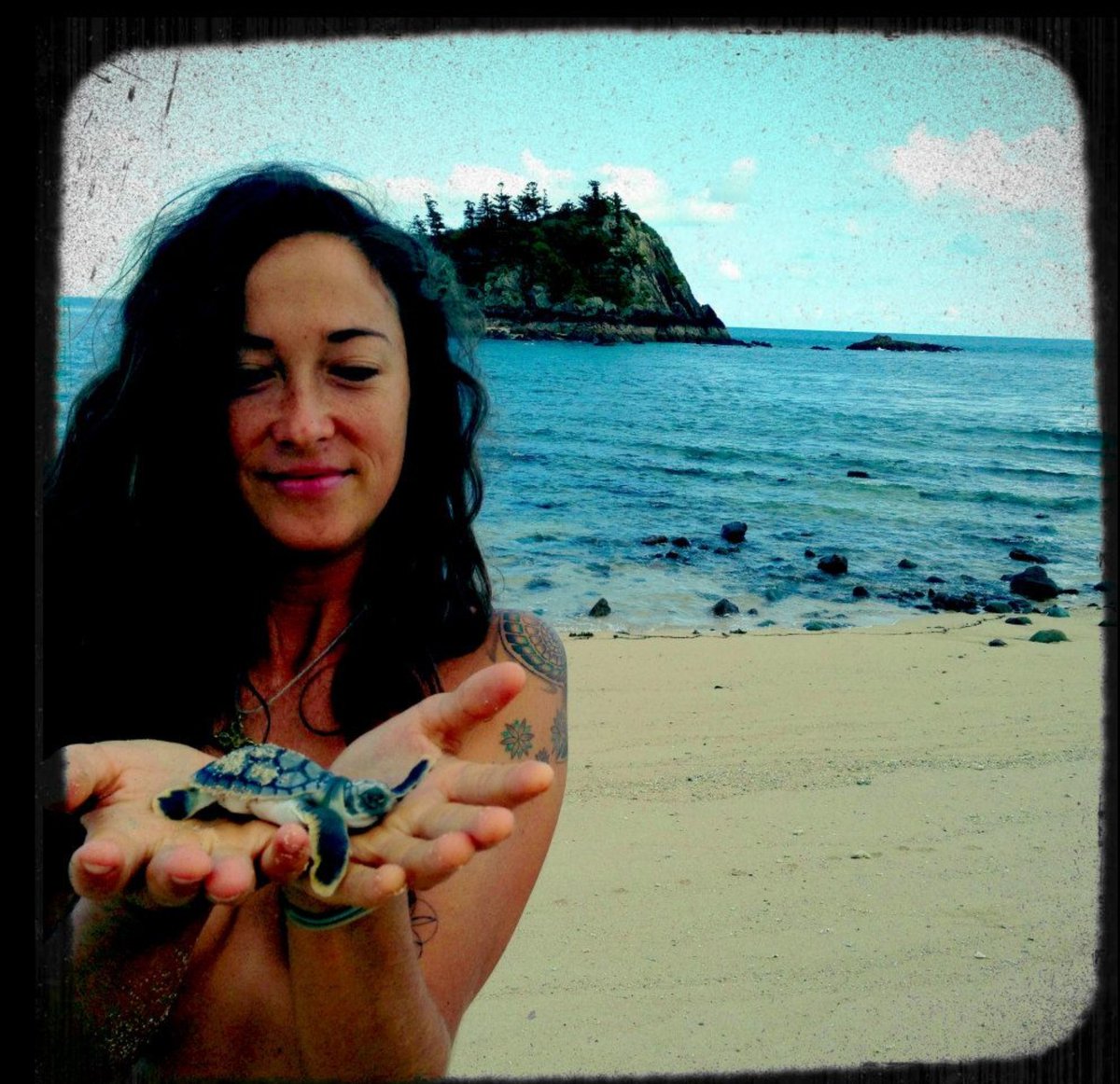 EchosOfLyra's tweet photo. I grew up on the Great Barrier Reef in Oz. Turtles are one of the most magical creatures ive ever encountered. Lets help them survive and thrive. Buy a @SlowTurtlesNFT and you are doing a great service (and also making a wise investment) #nftart #nftcommunity #slowturtles https://t.co/GC88oWJmK0