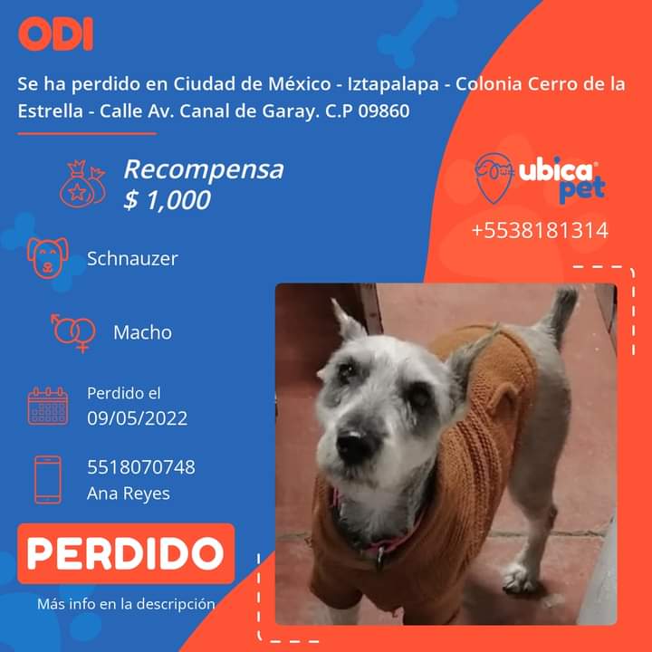 Gatuna Lineal 🐱🐈🐶🐕🐾 tweet media