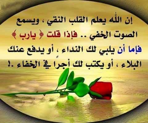 فارس . الاداره العليا لقروبات الفوارس tweet media