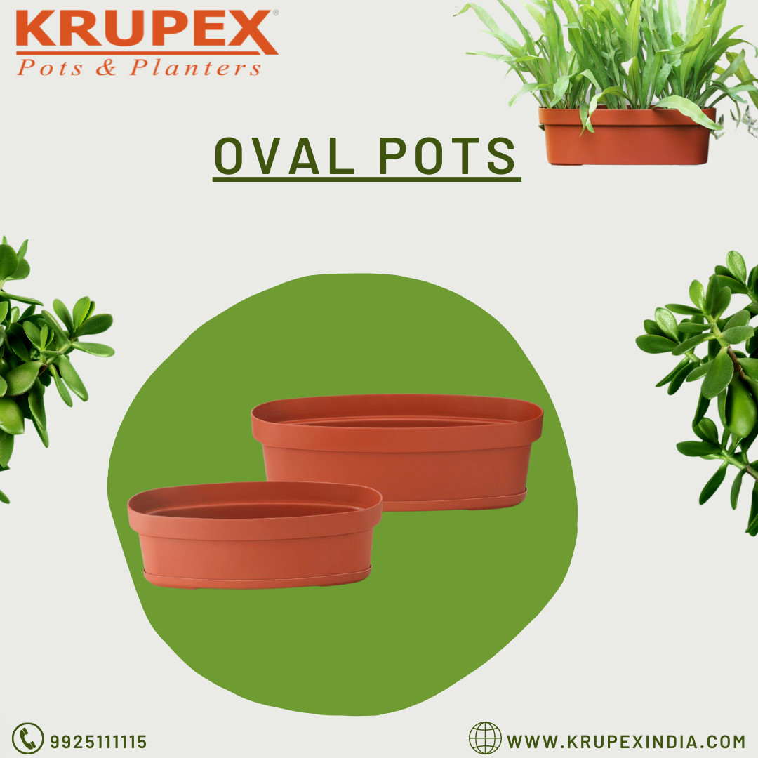 KrupexIndia's tweet photo. Oval pots are use to Planting or Nursery. The Oval Pots are enhances the beauty of gardening, House, Office etc. 

For More information :- https://t.co/oWUYrZyIQY

#krupexindia #plants #postmanufacturer #pots #flowerpots #plantsmakepeoplehappy #plantlife https://t.co/wim1hkXEmd