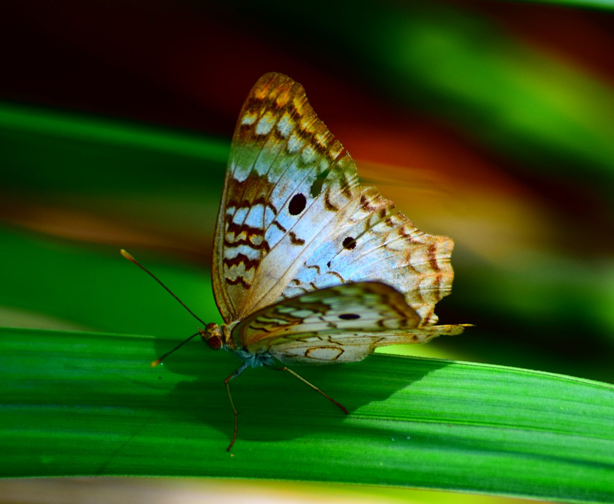 mathbuster2002's tweet image. 