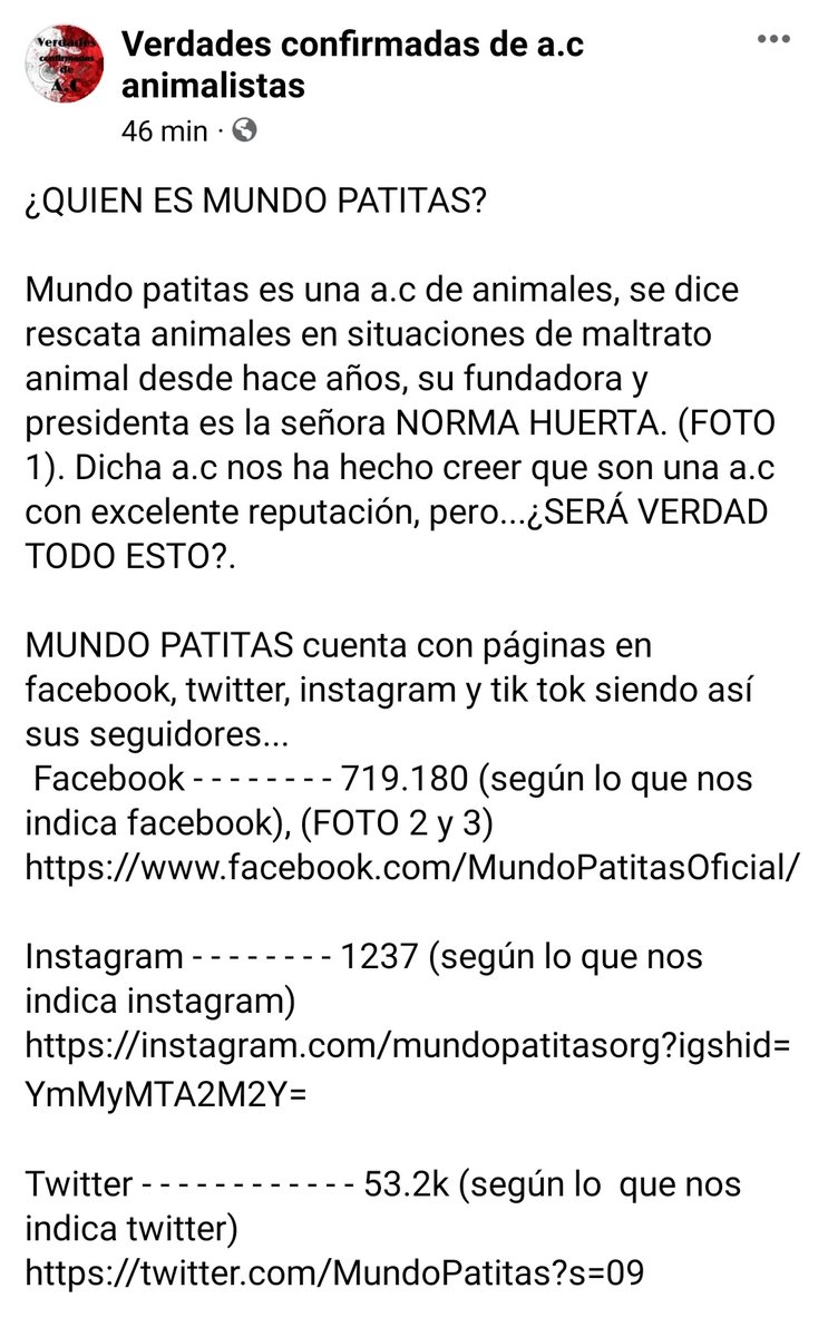 Caruza5's tweet photo. Una más de #mundoratitas
#mundopatitas
Perros de tultitlan sin protocolos de salud 
Sabemos lo 💩 que eres das perros sin ESTERILIZACIÓN  y donde queda el bienestar? 
Tu tan admirada y eres un asco solo buscas los aplausos los animales te valen  @PAOTmx
@LetyVarela @rbksokol https://t.co/inXTL2FWGz
