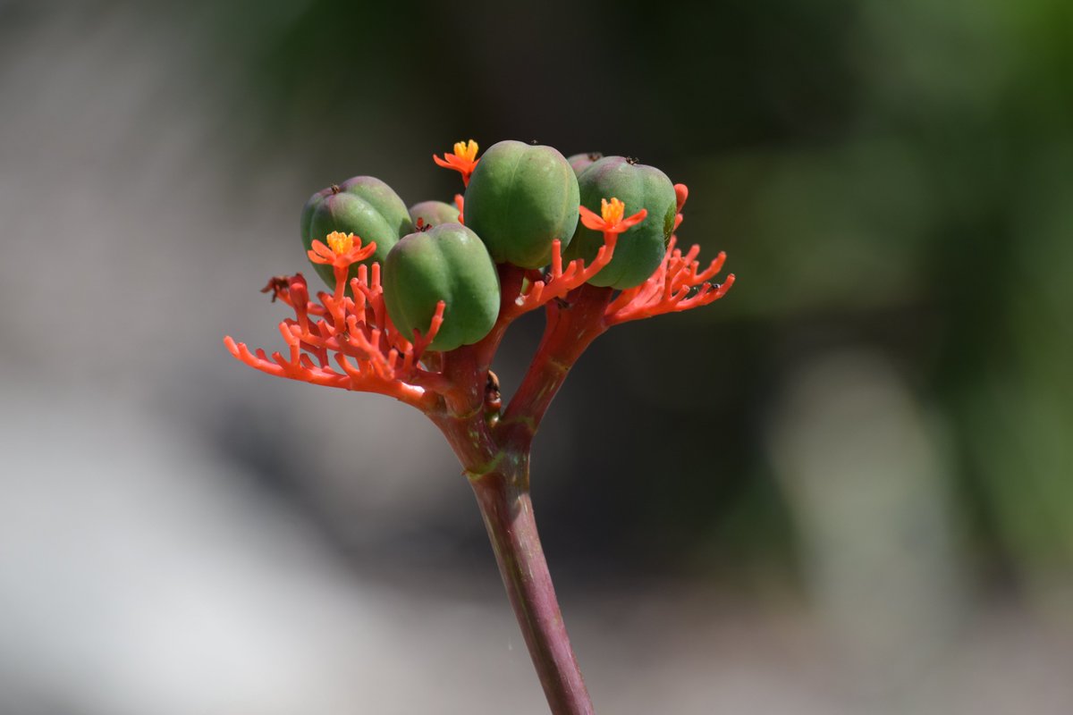 mathbuster2002's tweet image. 