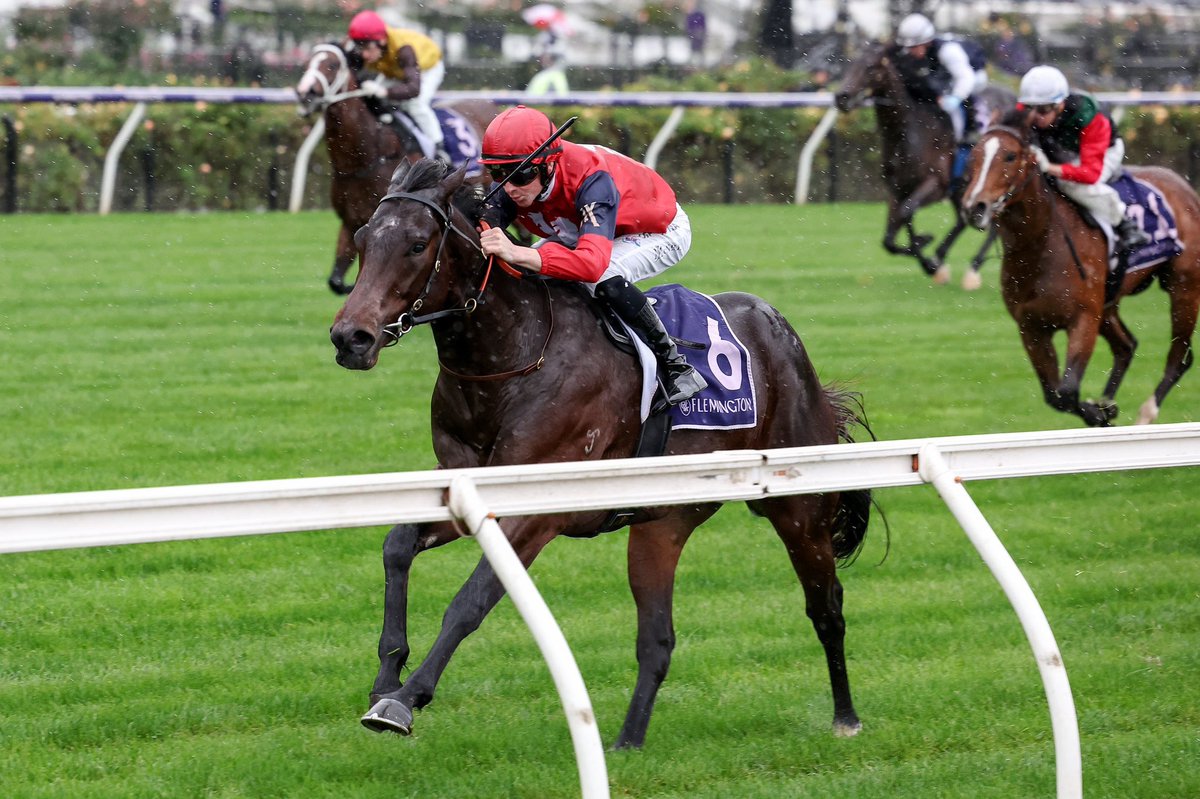NoorilimPark's tweet photo. DOULL kicks off his career in great style π
#brucey #flyingdoormat @FreedmanRacing @RosemontStud https://t.co/CIjThnaxQJ