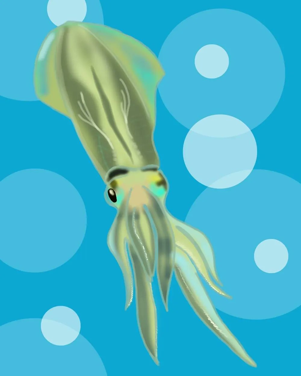 تويتر Bibiripenguin على تويتر アオリイカ Bigfin Reef Squid 漫画 イラスト Illustration さかなの絵 Manga アオリイカ T Co Glevtivtpq