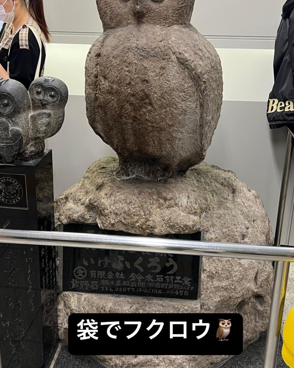 7q2Sf's tweet photo. #池袋
#フクロウ
#鮨 https://t.co/wzHemKOdGq