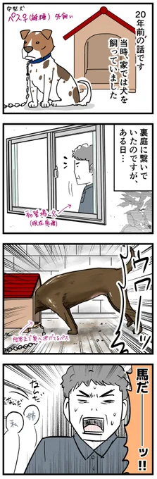 我が家に馬(仮)が来た話。
#犬との暮らし 