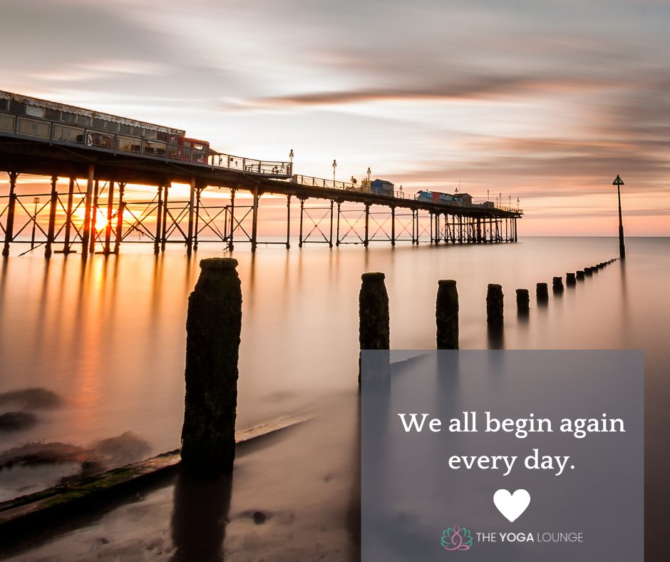 LoungeYoga's tweet photo. Every day you are a beginning yoga student. Begin again right now.
#begin #lifestudent #renew https://t.co/AceobKF1qV
