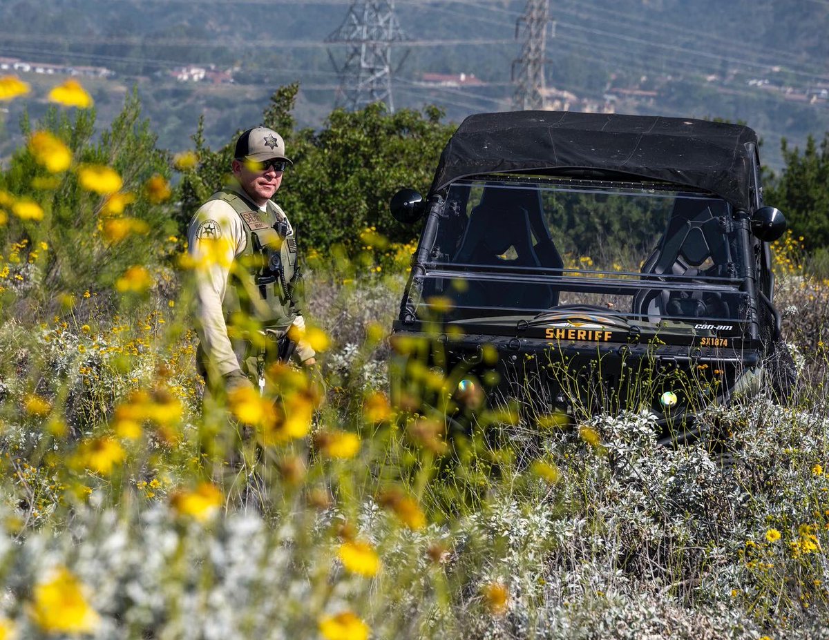 LASDHOST tweet media