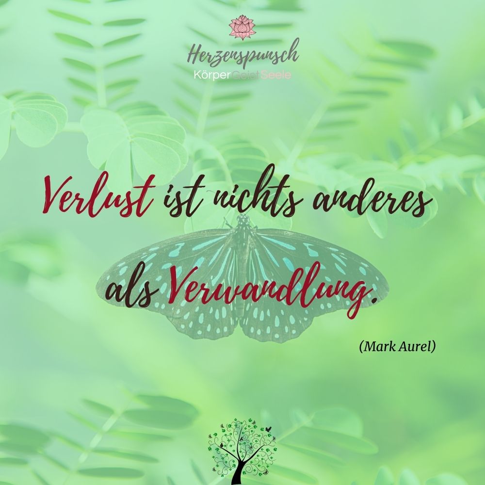 herzenspunsch's tweet photo. "Verlust ist nichts anderes als Verwandlung." – Mark Aurel
https://t.co/4fBk2cCu5R
#zitate #zitatdestages #markaurel #verlust #verwandlung
https://t.co/yCMHRn38v9 https://t.co/pY0UF3lW1G