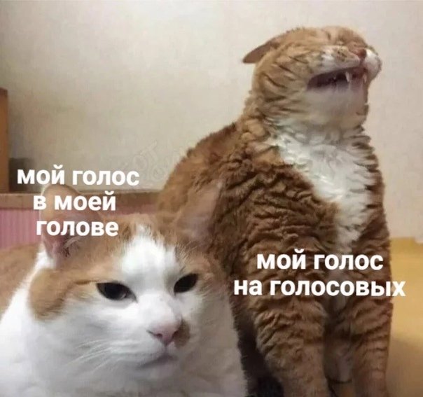 great_knee's tweet photo. Да https://t.co/OGZGR9Pmhx