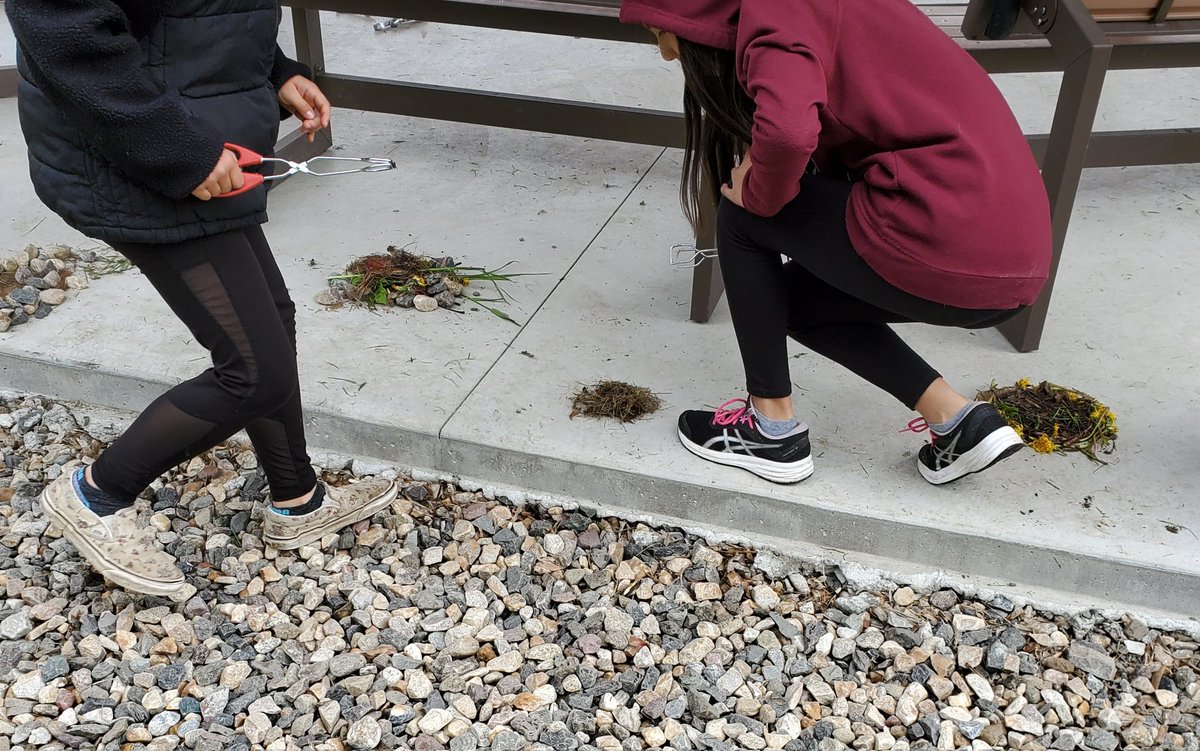 MollyCooperman's tweet photo. #Wildschool day @HCTF_Education #Salmon #Birds #Spiders #InvasiveSpecies @info_salmon @CSISS_Invasives https://t.co/7pzta2P0cy