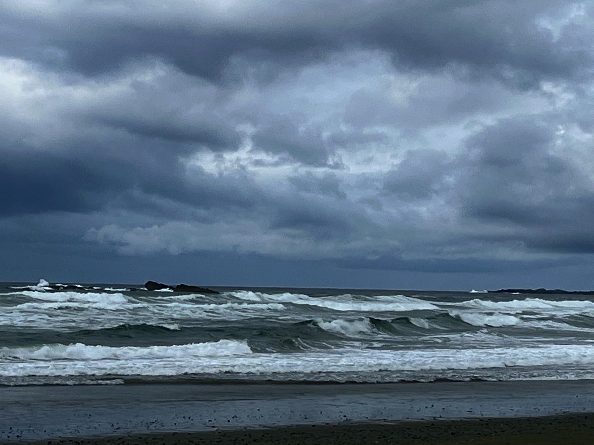JoannaStreetly's tweet photo. Grey, but dramatically so for my partner’s birthday walk at Florencio Bay today. And it didn’t rain
#springnotspring #Mayvember #westcoast #pacificrimnationalpark https://t.co/7uUQJ82FRL