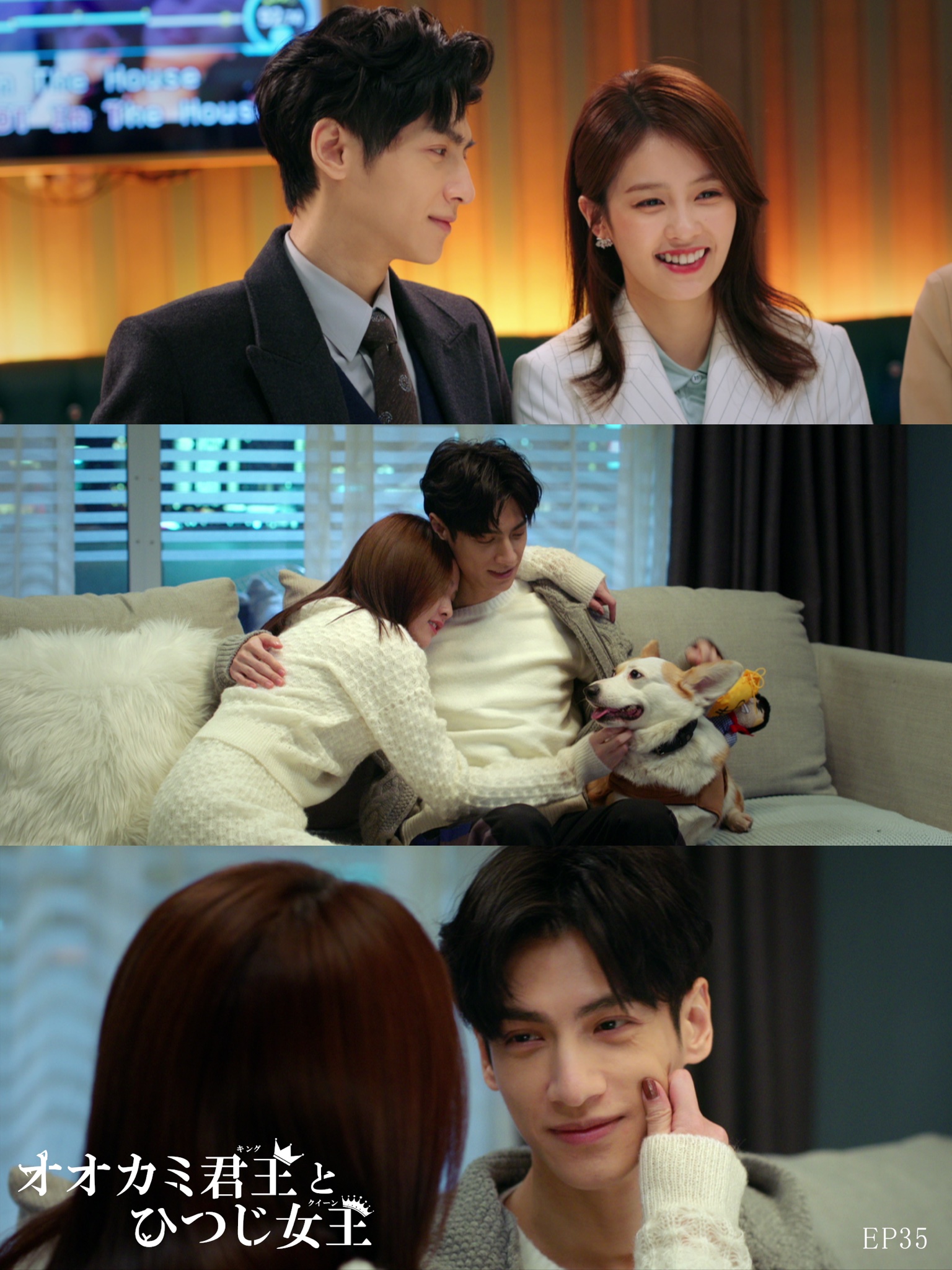 全18巻】 オオカミ君主とひつじ女王 DVD 全巻セット 全18巻セット オオカミ