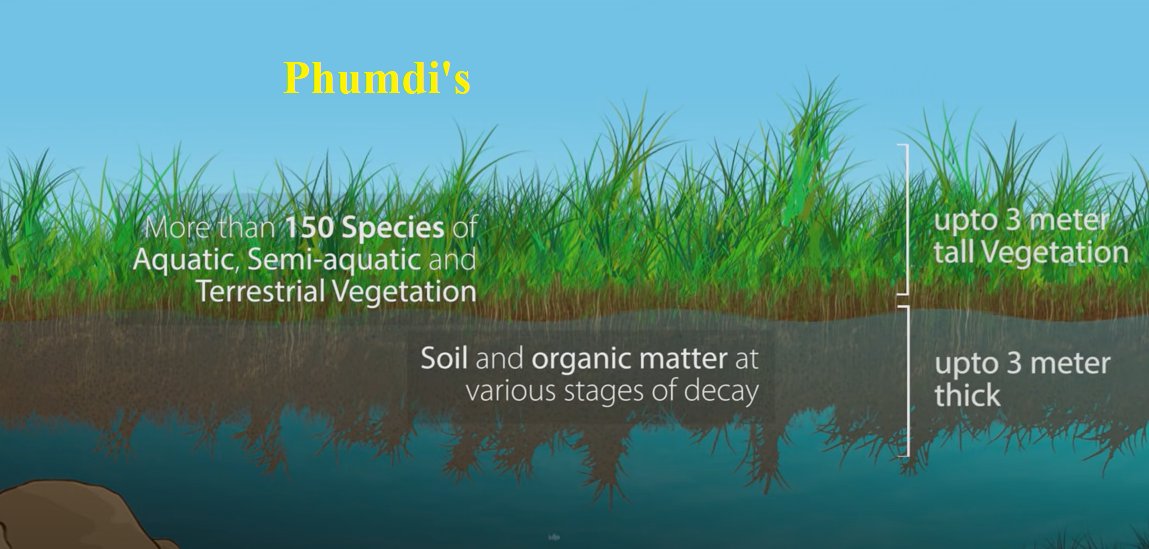 Tamil Nadu Geography On Twitter Phumdi s Are Floating Structure Made Of Soil And Organic 