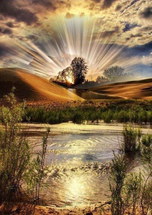 𝕴𝖘𝖆𝖇𝖊𝖑𝖑𝖊📜✒️ tweet media