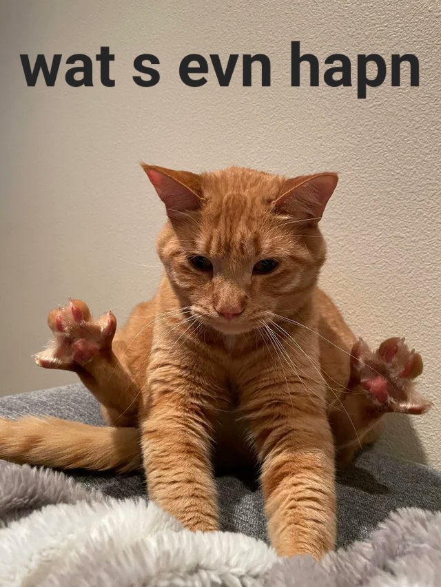 Dash Text tweet media