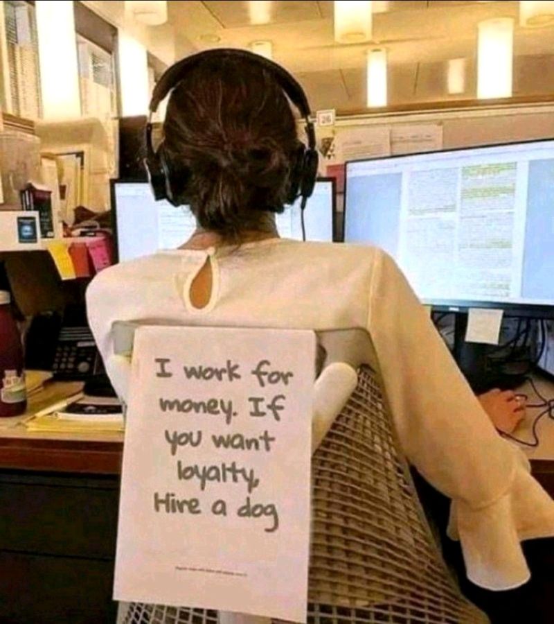AbuVisualiz's tweet photo. I work for Money 
If you want 
Loyality 
Hire a Dog! https://t.co/5cbCaDmjhm