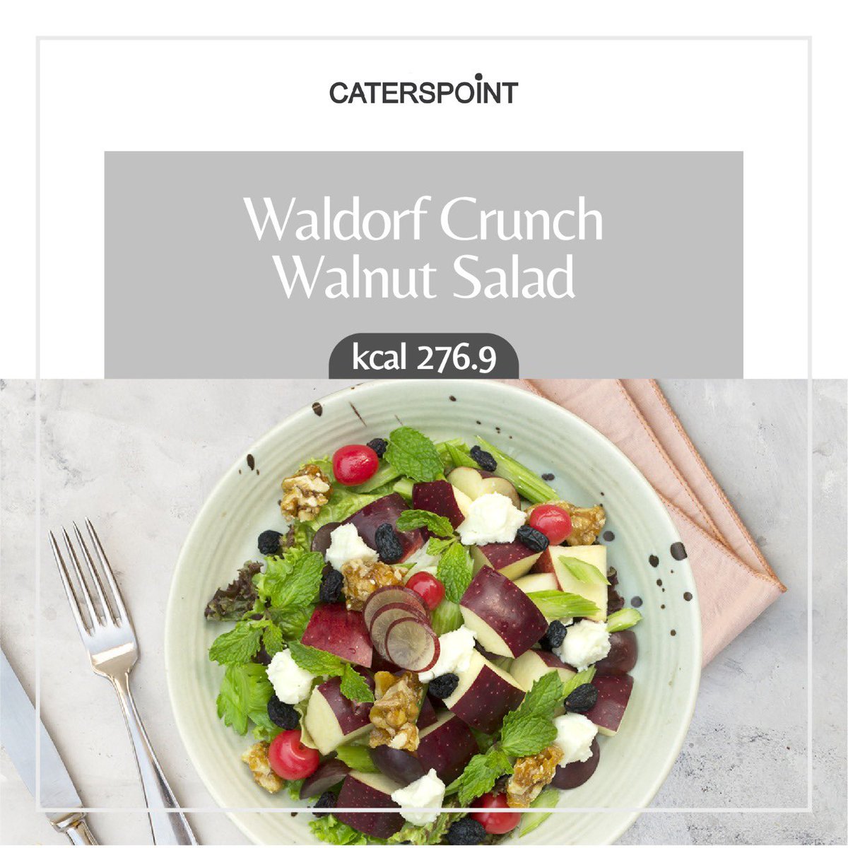 caterspoint's tweet photo. Crunch and nutrition in every bite! Check our exotic salads on Zomato or Swiggy.
#salad #caterspoint #noidafoodies #gurgaonfoodies #delhifoodies #delhifoodbloggers #noidafoodblogger #gurgaonfoodblogger #healthyfood #healthyrestaurant #healthystart #healthymind #healthybody https://t.co/lMo83f32bN