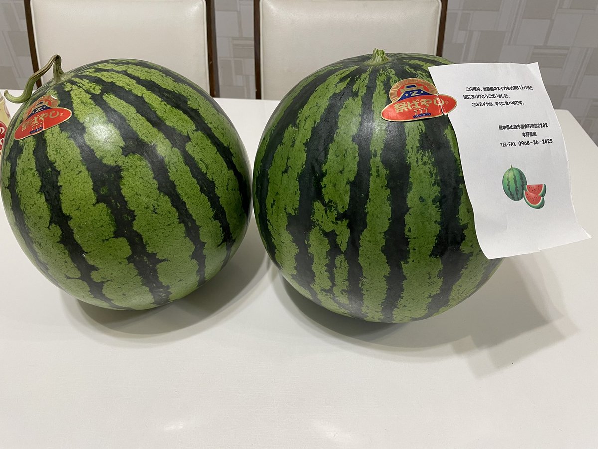 yakiton_akari's tweet photo. 熊本からスイカ届きました。熊本スイカは5月が一番美味しいと言われてます。
早速生スイカサワー始めます🍉 https://t.co/slJXIvgxcT