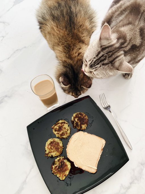 Morning, dudes 🌞 https://t.co/GO1NvTqdzx<a href="/tag/footfetish"class="tags"><span>#footfetish</span></a><a href="/tag/footsie"class="tags"><span>#footsie</span></a><a href="/tag/webmodels"class="tags"><span>#webmodels</span></a>