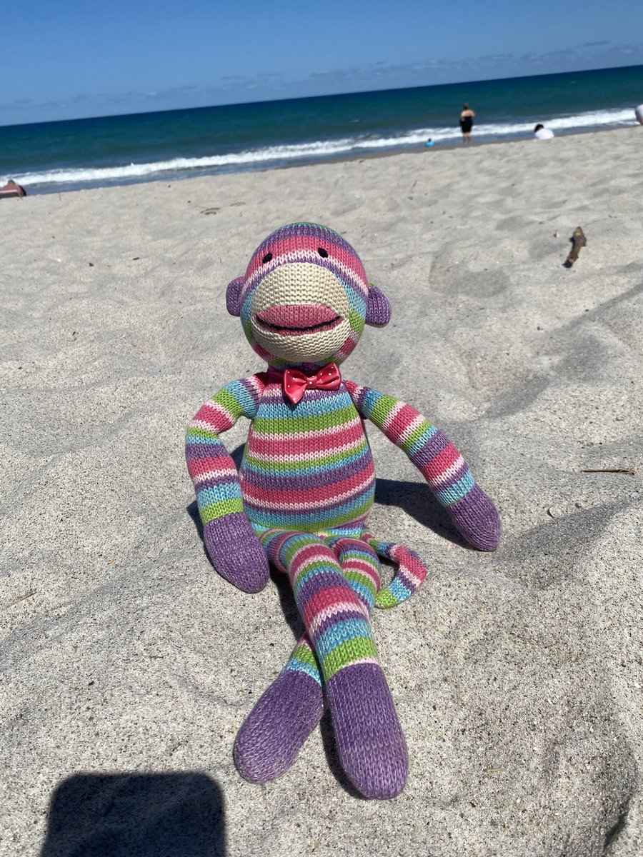 TravelingPippin's tweet photo. Latergram-Florida! https://t.co/fUxIvERSmJ