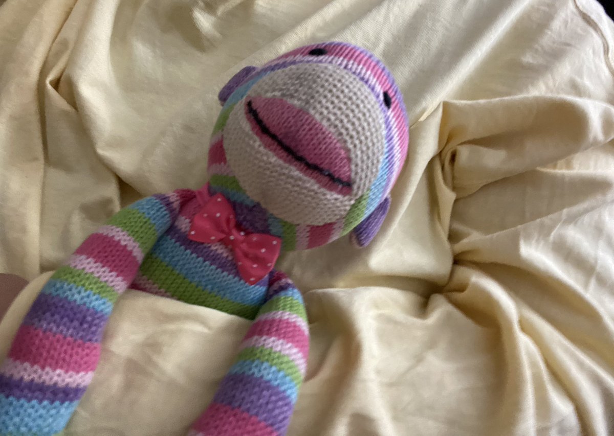 TravelingPippin's tweet photo. Cozy night at home watching Quantum Leap- cannot wait to travel again https://t.co/bA2mwVJKiJ