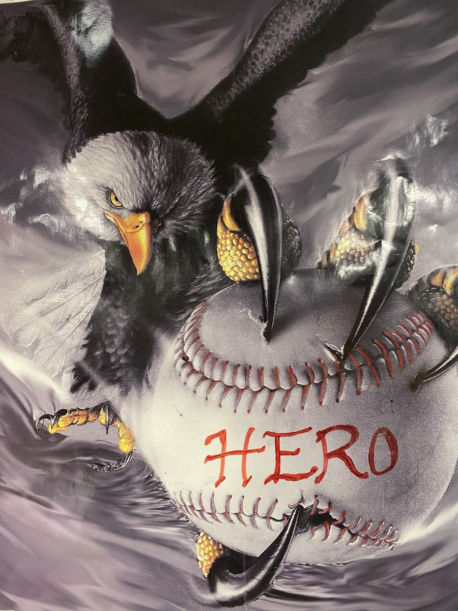 HERO BASEBALL 

                Game 1
              3A  AREA  
         CHAMPIONSHIP 

HOLLIDAY  4
JIM NED      3
Final