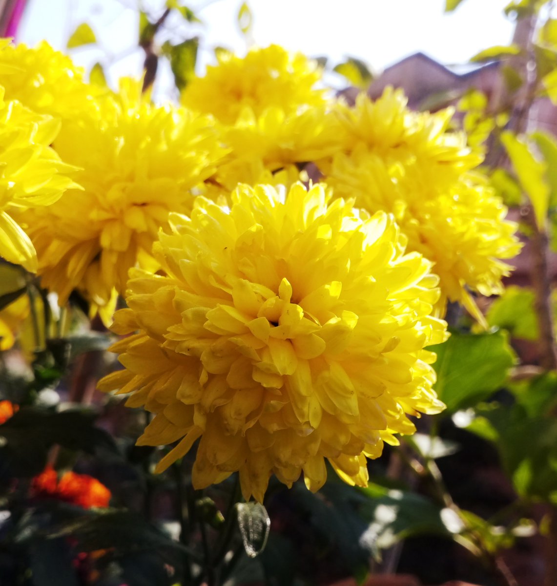 RichieDoodles🐧 (@richiedoodles) on Twitter photo 