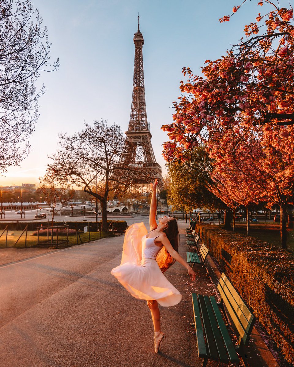 MarinaBalain's tweet photo. Gm Twitter fam ☀️ I’m back after 2 months off, moved back from New Zealand to France and surprised all friends &amp; families 🥰
What were you up too? Show me your best piece of work 🤩 https://t.co/OLEZSZwyrp