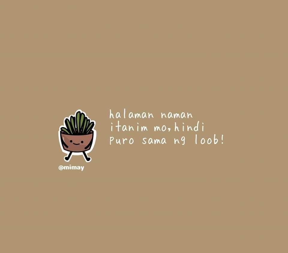 vhnscbtbt's tweet photo. 😅🤣😂 https://t.co/1hOqdbI4nl