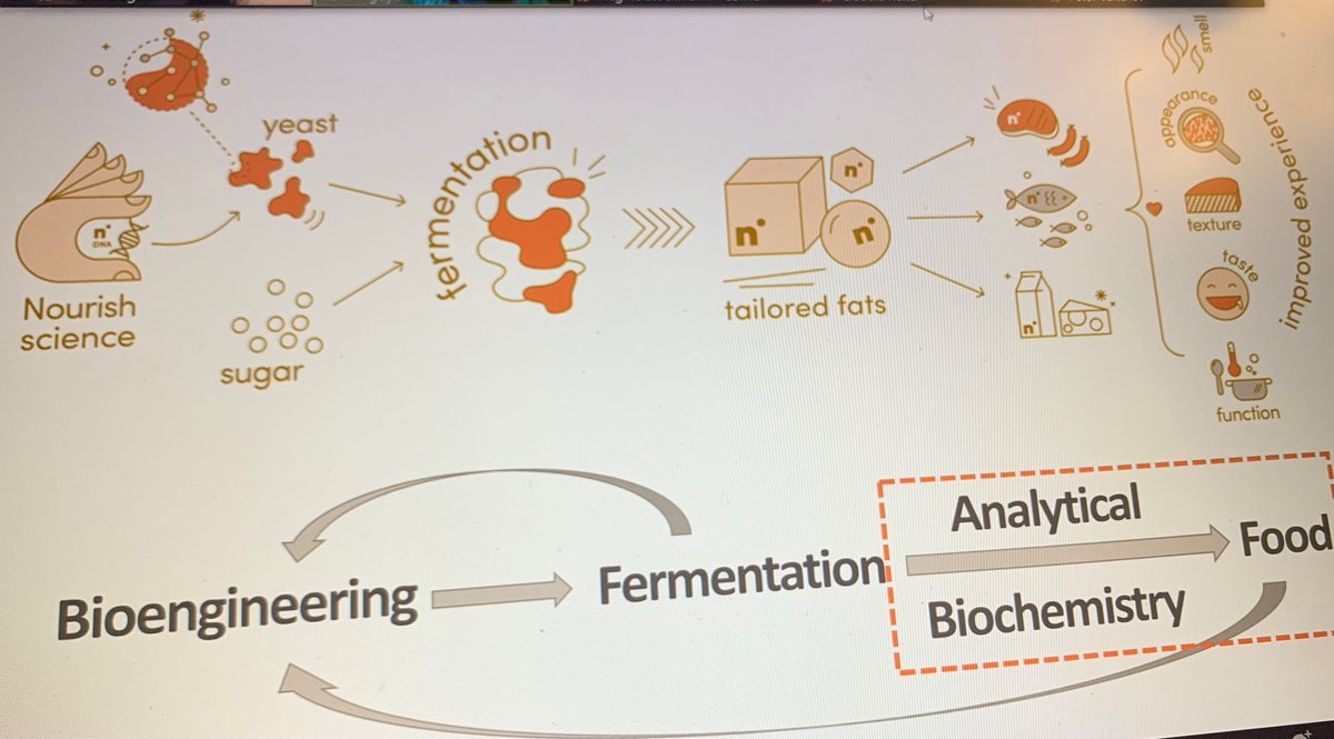 #CAFE seminar series Dr Hanh Nguyen, Food Science Lead at Nourish Ingredients immerse us into the fascinating precision fermentation used to create Nourish animal-free fats and their incredible impact on food and the science behind.