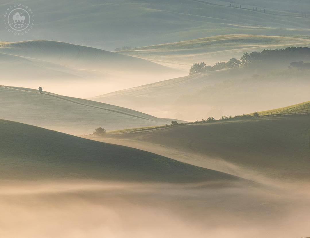 guyedwardes's tweet photo. Idyllic misty conditions during my first Tuscany workshop earlier this week. These zig-zags were captured in the Val d'Orcia using a 560mm lens.

© Guy Edwardes Photography

#visititaly #visittuscany #canonuk #tuscanlandscape #tuscanmist https://t.co/bPXmhKH7S1