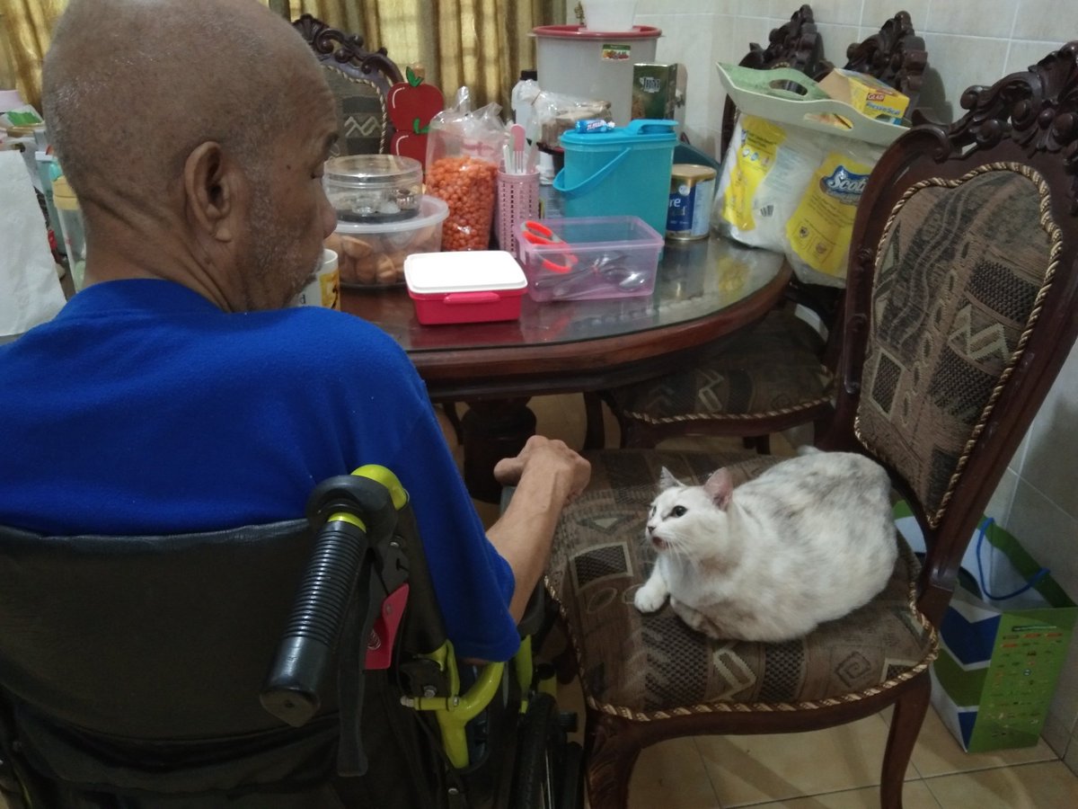 SufhaEsa's tweet photo. Mochin: Kurusnya atok..
Atok: Gemoknya mochin..

😸😸😸🤭🤭🤭 https://t.co/j3NFVtI4Pn