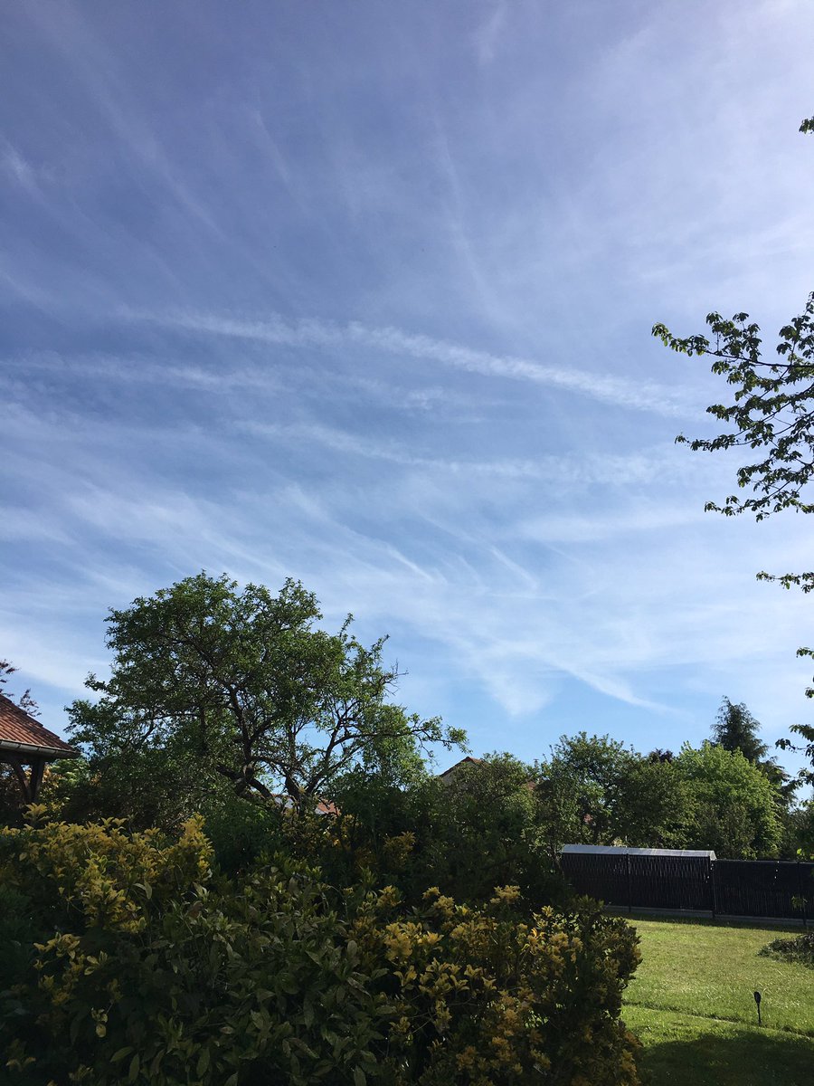 Kate5291350533's tweet photo. Ça fait plus d’une heure qu’ils sont passés et le ciel est voilé, blanc laiteux , #chemtrails voilent le soleil , fini le ciel bleu ! Ça s’étale ! Dans le temps les traces s’effaçaient direct #comtrails ! Peut être bousiller aussi les céréales !! Les productions , nos jardins https://t.co/6rcG1WicvE