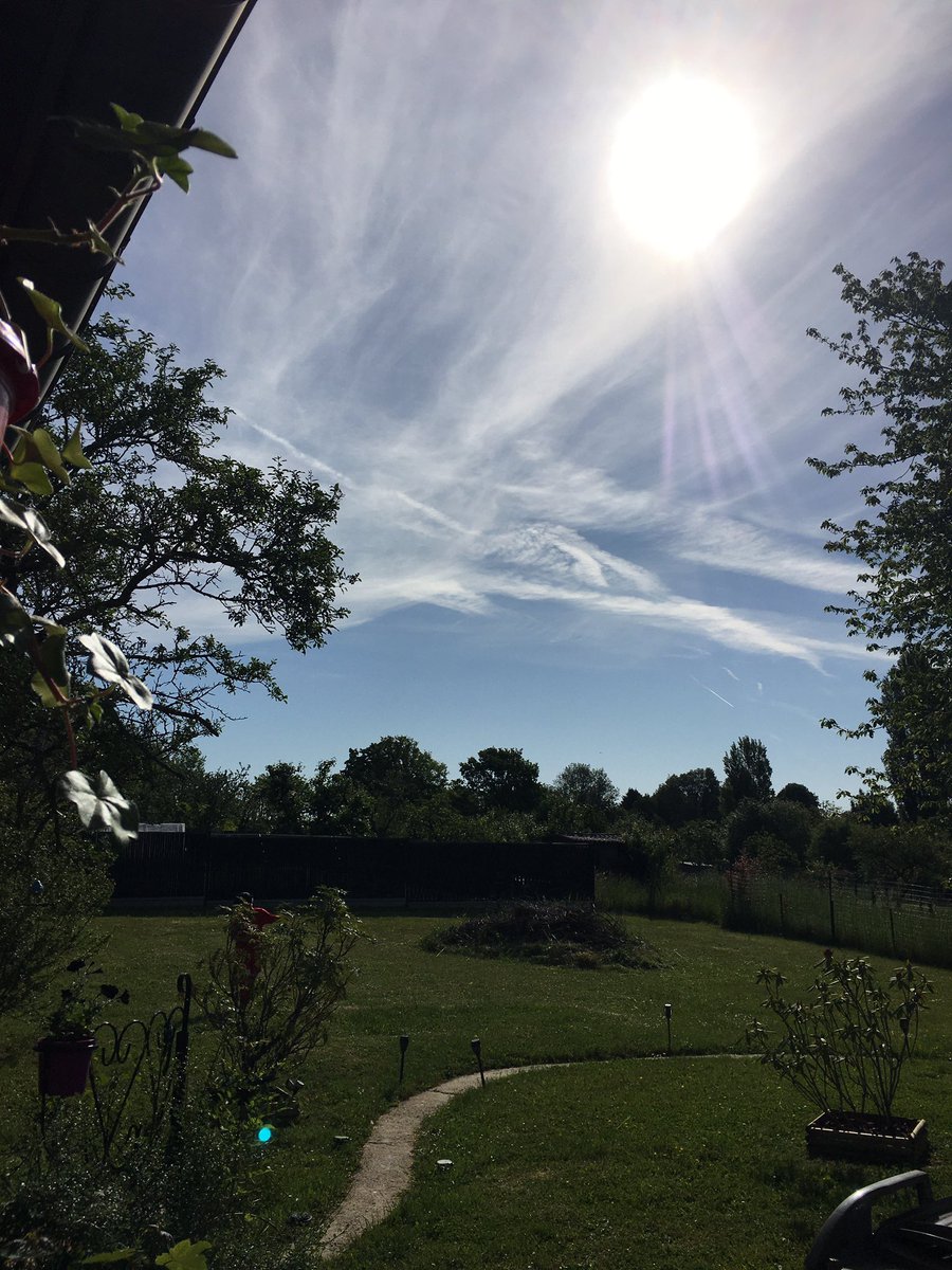 Kate5291350533's tweet photo. Ça fait plus d’une heure qu’ils sont passés et le ciel est voilé, blanc laiteux , #chemtrails voilent le soleil , fini le ciel bleu ! Ça s’étale ! Dans le temps les traces s’effaçaient direct #comtrails ! Peut être bousiller aussi les céréales !! Les productions , nos jardins https://t.co/6rcG1WicvE