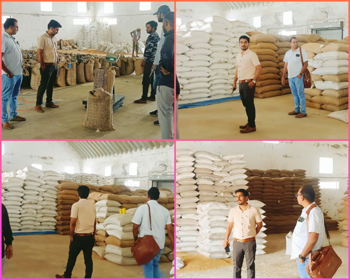 dsobhavnagar's tweet photo. મુ.ટીંબી, ધોળા તા. ઉમરાળા ખાતે આવેલ નિગમ ગોડાઉન ની આકસ્મિક મુલાકાત લેવામાં આવેલ. અનાજના જથ્થાનું સ્ટાન્ડરડાઈઝેશન, ગોડાઉન ની સ્વચ્છતા તેમજ સમયસર જથ્થો  વા. ભ. દ.સુધી પહોચી વિતરણ સુચારુ બની શકે તે બાબતે માર્ગદર્શન આપવામાં આવેલ.@Collectorbhav @tmdholakia https://t.co/vOYCL3HHDd