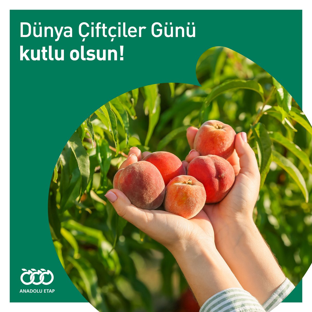 Üreten, var eden, emek veren ve gücümüze güç katan tüm çiftçilerimizin Dünya Çiftçiler Günü kutlu olsun!

#AnadoluEtap #SağlıklıNesillerİçinSağlıklıMeyveler