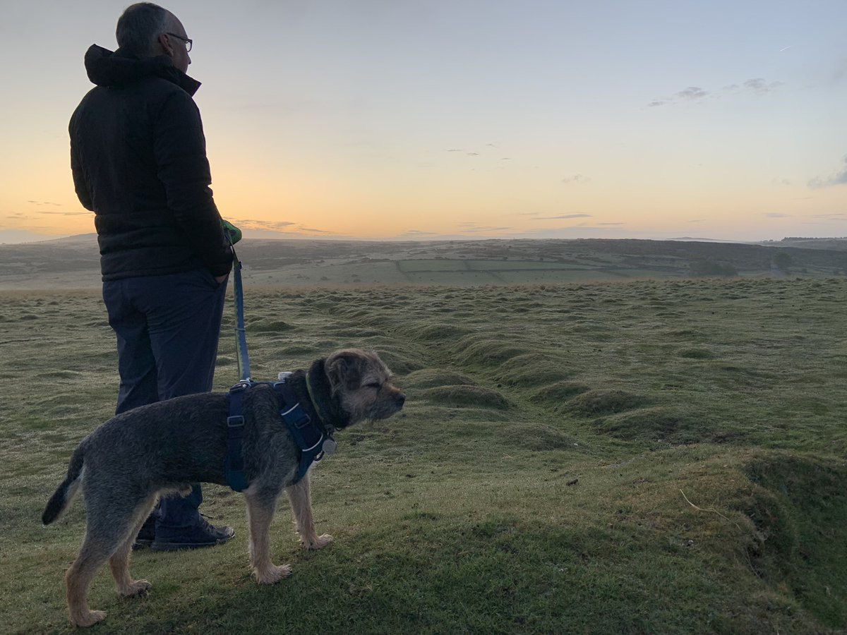 ScrappyN's tweet photo. Sunrise on #Dartmoor probably worth the early start then yes. Hope this means 2 breakfasts *nods* #ScrappyHolibobs #ScrappyNelson #dogsoftwitter #btposse #ruffwear #mydogismy #frontrangeharness #SaturdayMorning #sunrise https://t.co/snArr4mY9O