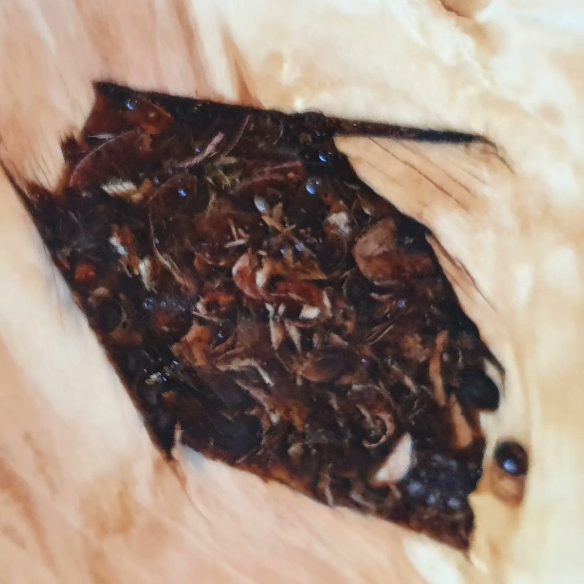 Finished turning and got a coat of oil on this today.  I must have roughed it out at least six years ago but it took me a while to decide what to do with the hole from the nail I found while roughing it out. 

Finished diameter is 19 inches. Wood typ is FOG (found on ground).