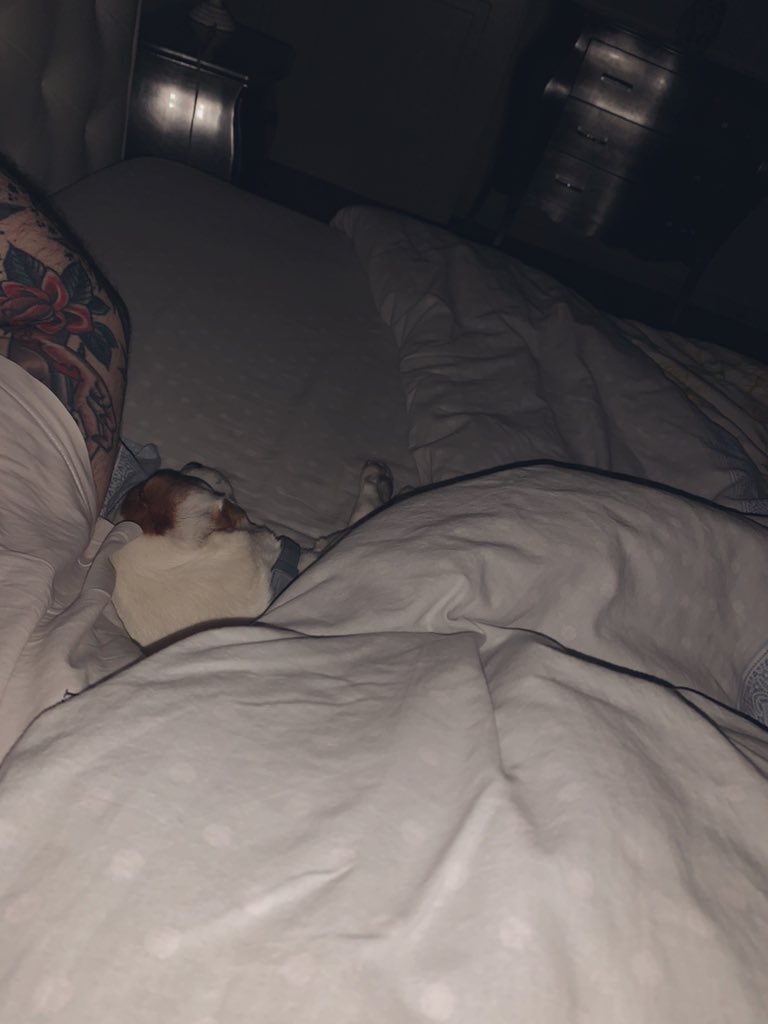 Mosca783's tweet image. Ho avuto donne bellissime! Cit.