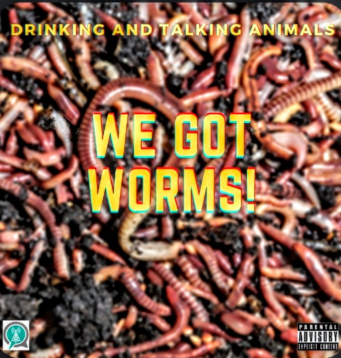 Psst the podcast dropped a little early. Join the boys as they wriggle their way through We Got Worms while drinking Gig Harbor Brewing's Wild Pitch Pilsner.@DandTAnimals @GigHarborBrew @chatter_network #asianjumpingworms #hammerheadworms