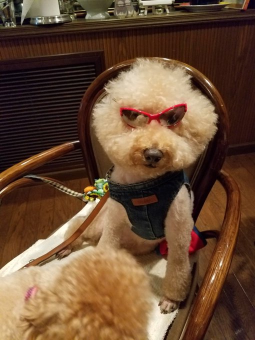 Watch ♥︎official_Hitomi♥︎'s leaked NSFW photo on TwXstars