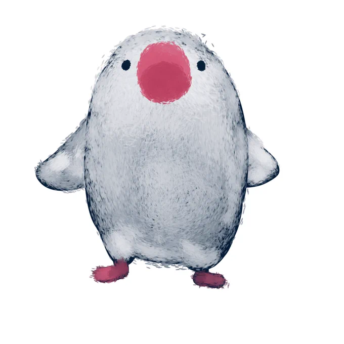 4081 