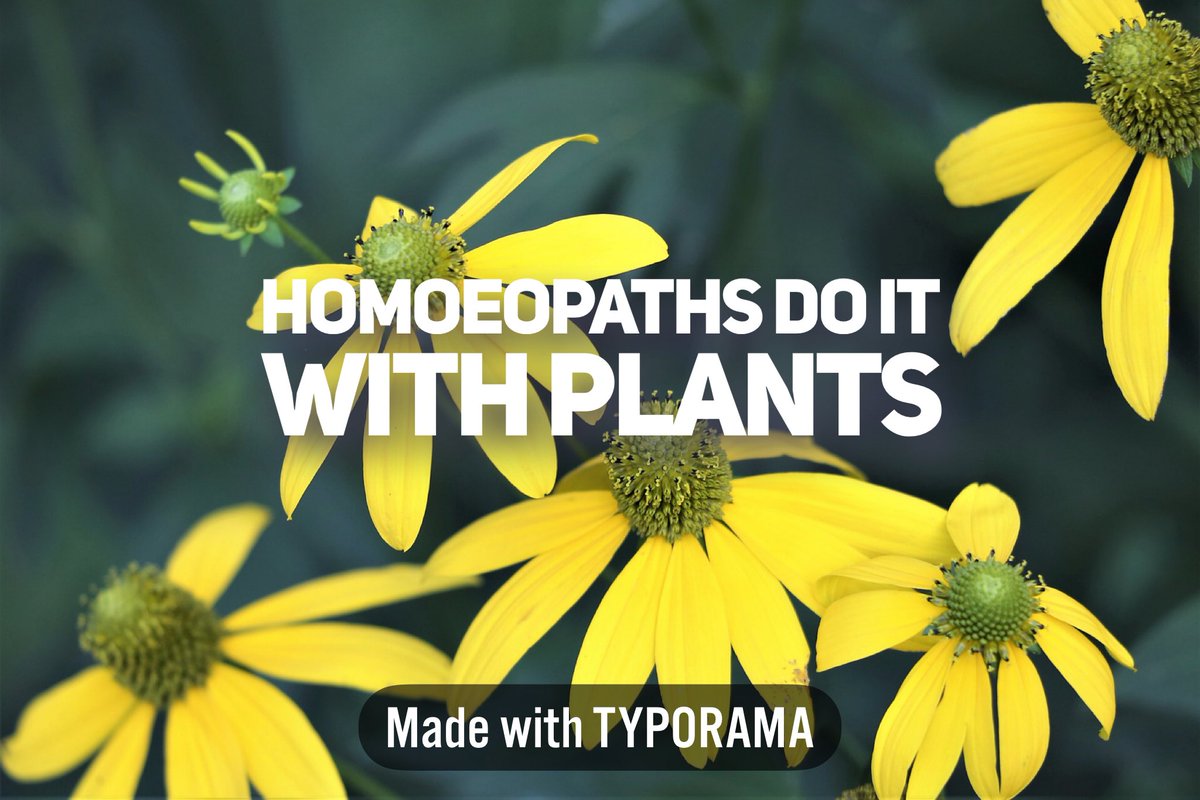 THChomeopaths's tweet photo. And plants &amp; lots of other plants too… 🍀 https://t.co/GyiZaWWoQj