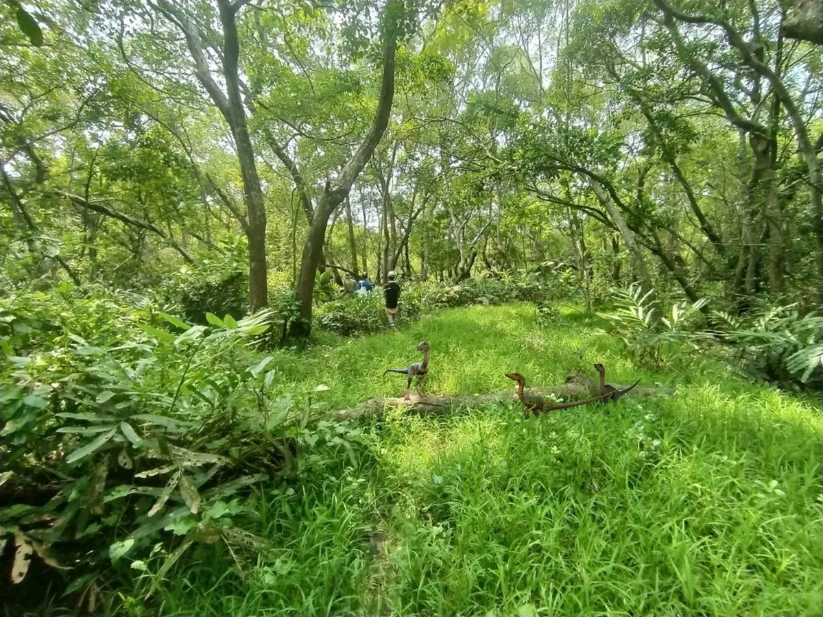 Lordpackeer's tweet photo. Oh!

#JurassicWorldDominion #DinoTracker
#JurassicWorld 
#JWDinoTracker https://t.co/1qGn0htKmL