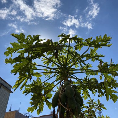9ddf022's tweet photo. #新头像 https://t.co/Au7pA4ZATc